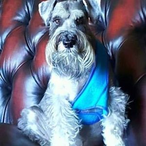 Meet your Posher, Carol